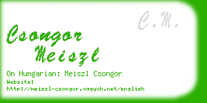 csongor meiszl business card